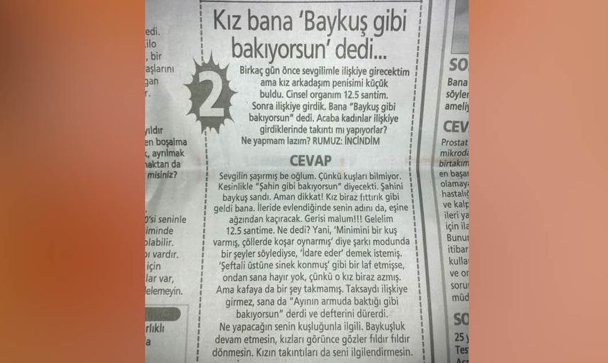Baykuş gibi