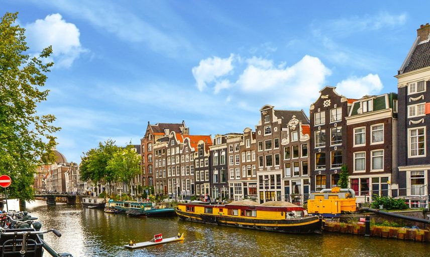 HOLLANDA YÜZDE 19