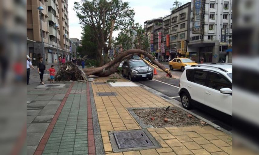 Ölümden kıl payı dönen insanlar