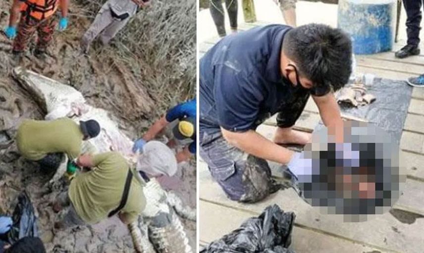Bir anda nehirden çıkıp genç bir çocuğu yutan timsah yakalandı ve karnı açıldı içinden çıkanlar herkesi şoke etti
