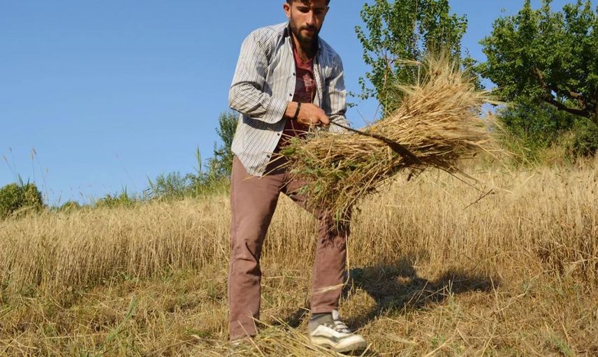 Son Dakika: Tarım ve Orman Bakanı Bekir Pakdemirli Çiftçiye Destek Müjdesini Açıkladı! Ödemeler Ne Zaman?