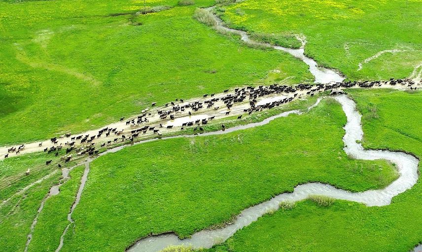 Terör Temizlenen Faraşin Yaylasından Görüntüler Göz Kamaştırdı