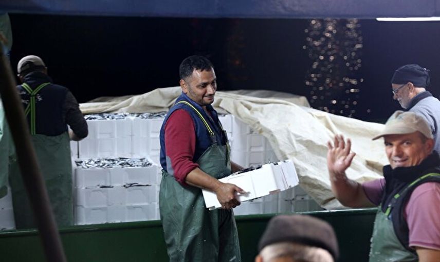 Denizde Hamsi Bereketi: Yüzlerce Kasa Hamsi Avlandı, Kilosu 10-15 TL'ye Düştü!