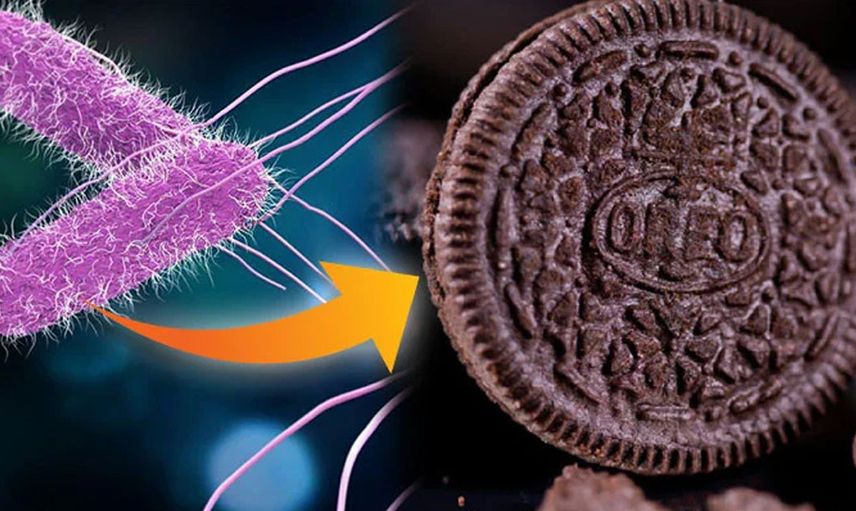 Anne babalar dikkat! Çocuklara zarar veren Salmonella virüsü Oreo bisküvilerinde bulundu