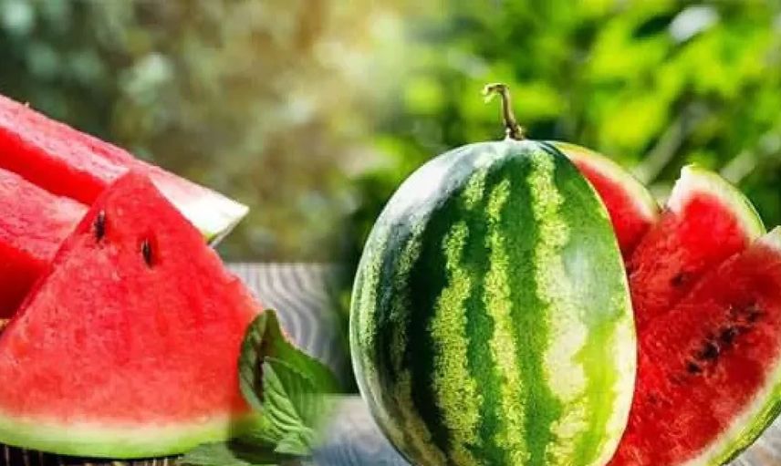 Karpuz yerken bu 6 hatayı sakın yapmayın! Hele ki karpuz peynir ikilisini gördüğünüz yerde kaçın