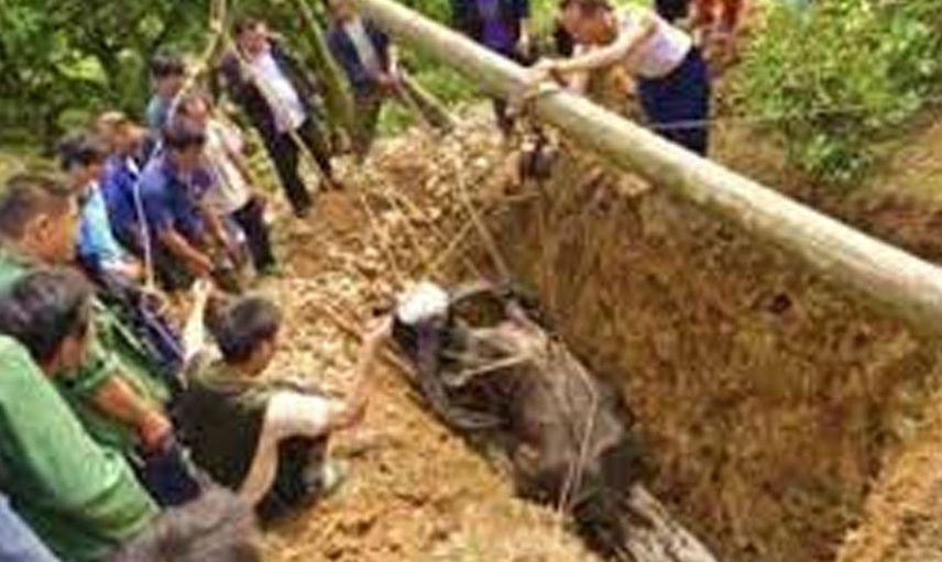Mezarlıkta korku dolu anlar: Cenaze bir anda tabuttan fırladı