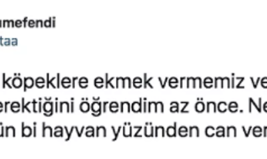 Köpekten Kaçarken Kamyon Çarpıp Hayatını Kaybetti: Ardından Akıl Almaz Paylaşımlar Yapıldı!