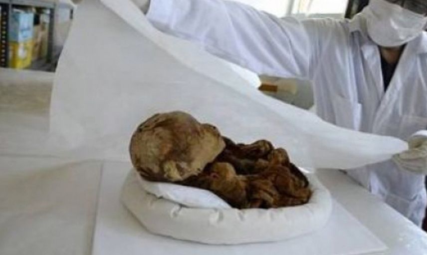 Asırlık cesette öyle bir şey çıktı ki! Bilim adamları gerçek olabileceğine inanmıyor