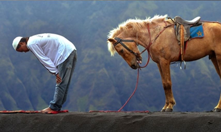 Aslan geldi