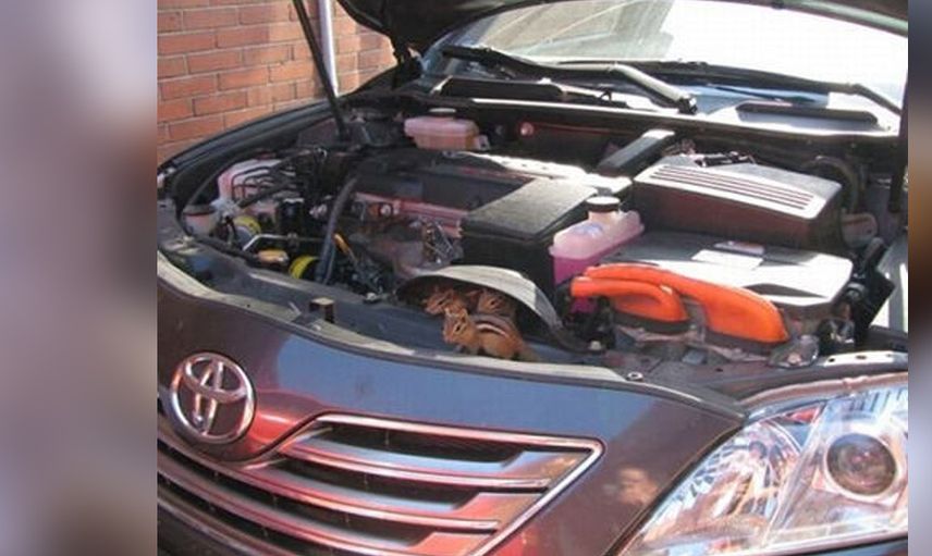 Motordan ses geliyor diye kenara çekti... kaputu açtığında şok olup bayıldı!