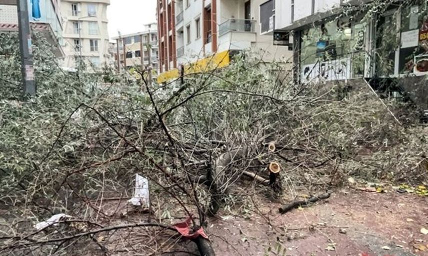 Lodosun Etkili Olduğu Bölgelerden Olağanüstü Görüntüler!