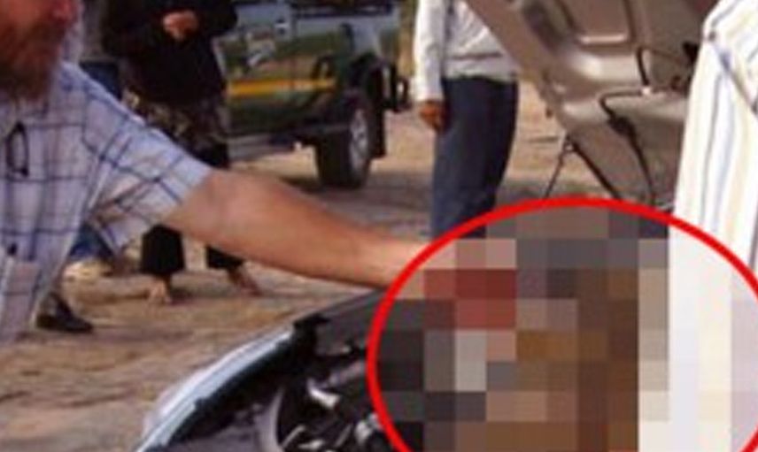 İşte arabanın kaputundan çıkan diğer davetsiz misafirler...