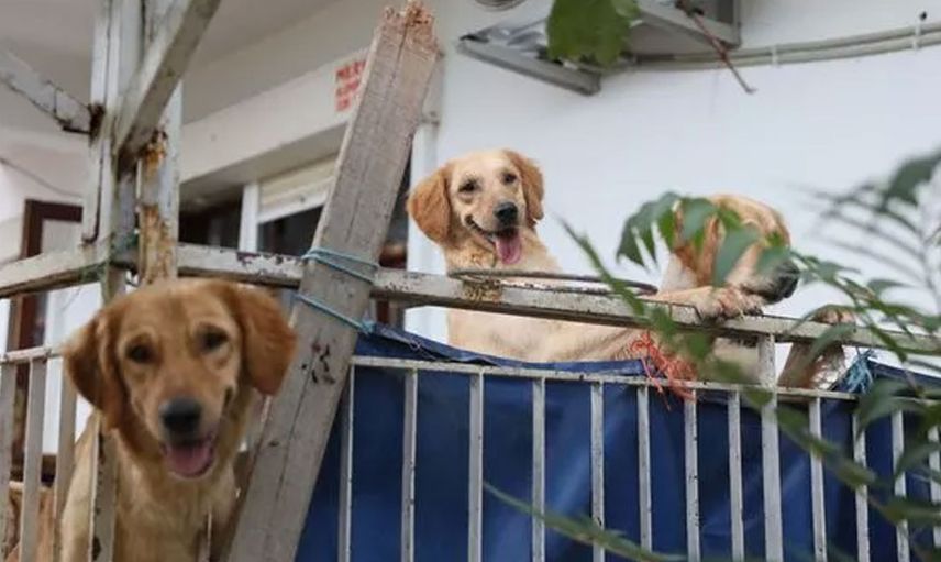 Antalya'da akıllara durgunluk veren olay! Günlerce kilitli tutuldukları evde birbirlerini yemek zorunda kaldılar