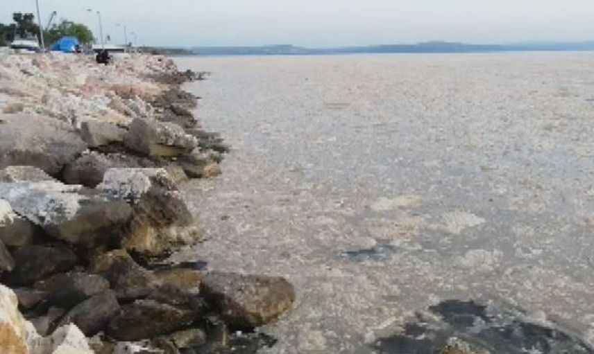 Marmara Denizi'nde Görülen Deniz Salyasının Sebebi Ne?