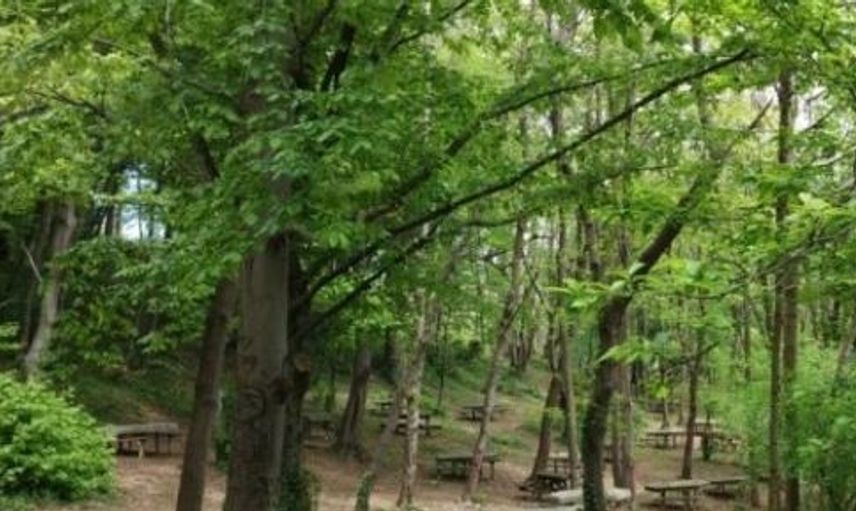 Eski Kaymakam Ormanda Araç İçerisinde Cinsel İlişkiye Girerken Yakalandı