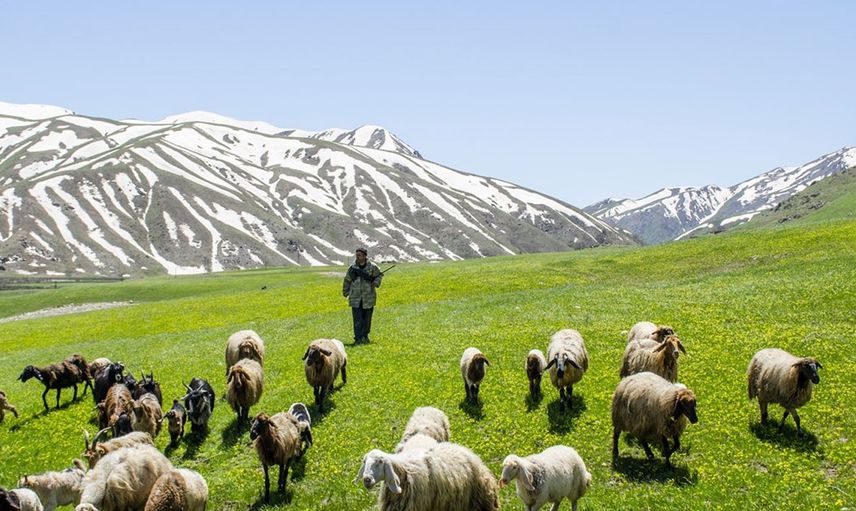 Terör Temizlenen Faraşin Yaylasından Görüntüler Göz Kamaştırdı