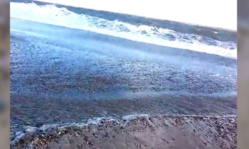 Deniz kızı cesedi kıyıya vurdu, halk ayağa kalktı!