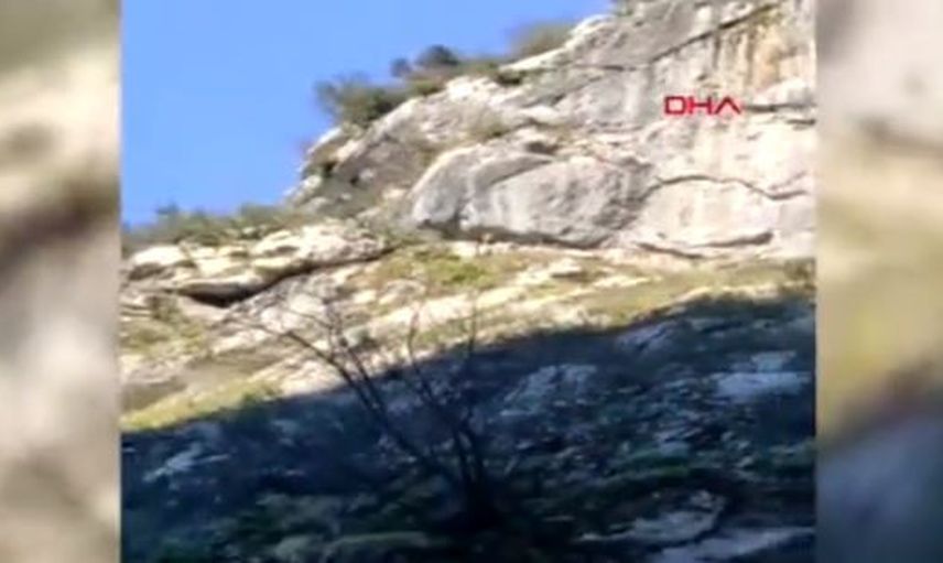 Kış Uykusundan Uyanan Ayıyla Karşılaştılar!