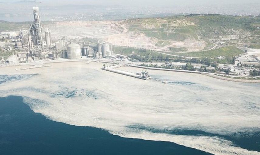 İzmit Körfezi Deniz Salyası ile Kaplandı