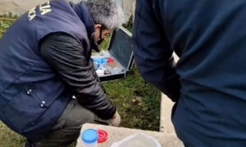 Arjantin’de Bahçede Kavanoz Buldu!