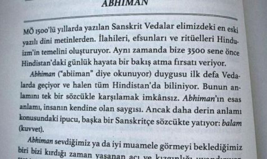 İhanete Uğrayan Sevda Erginci'den Gönderme!