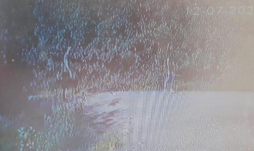 Genç Kızın Başına Taşla Vuran Afganistanlı Yaptıklarıyla Kan Dondurdu