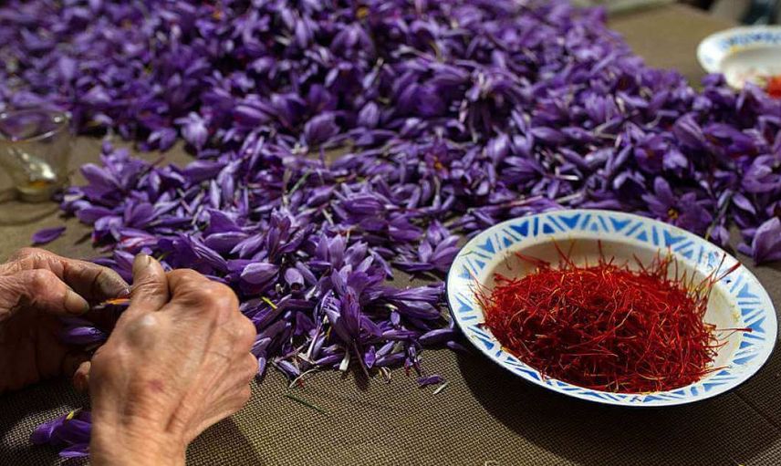 Edirne'de Emekli Olduktan Sonra Ekti Parayı Tarımda Buldu