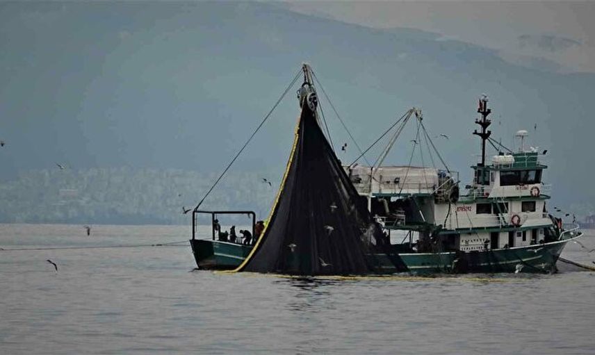 Böyle Bir Av Görülmedi! 40 Balıkçı Teknesi 40 Ton Hamsi Yakaladı