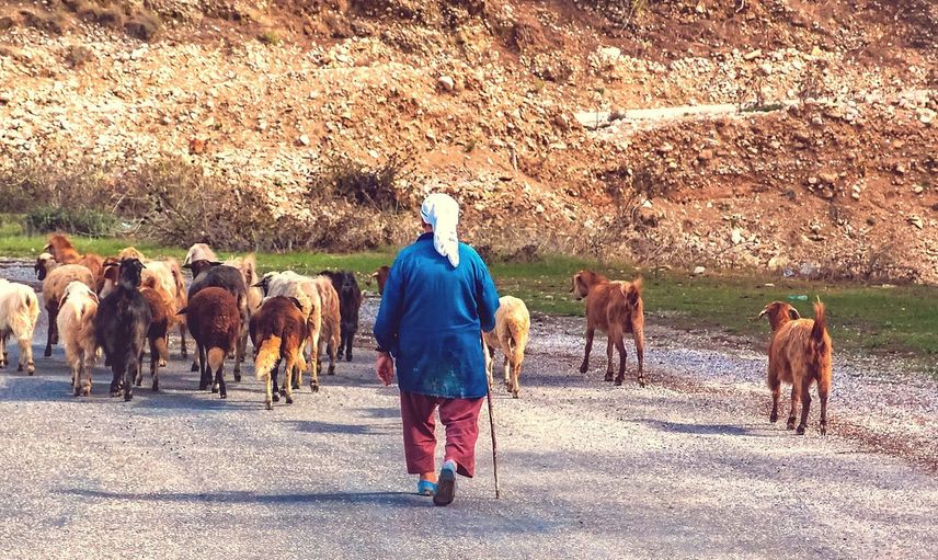 Aysun Kayacı Neden Dağdaki Çobanla Benim Oyum Bir mi Dedi?