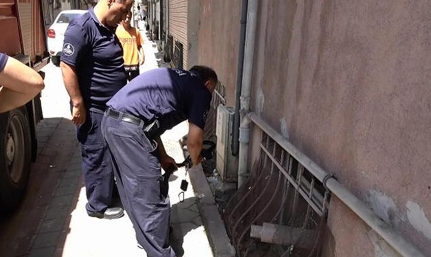 İstanbul’da şehrin içinde yılan görüldü