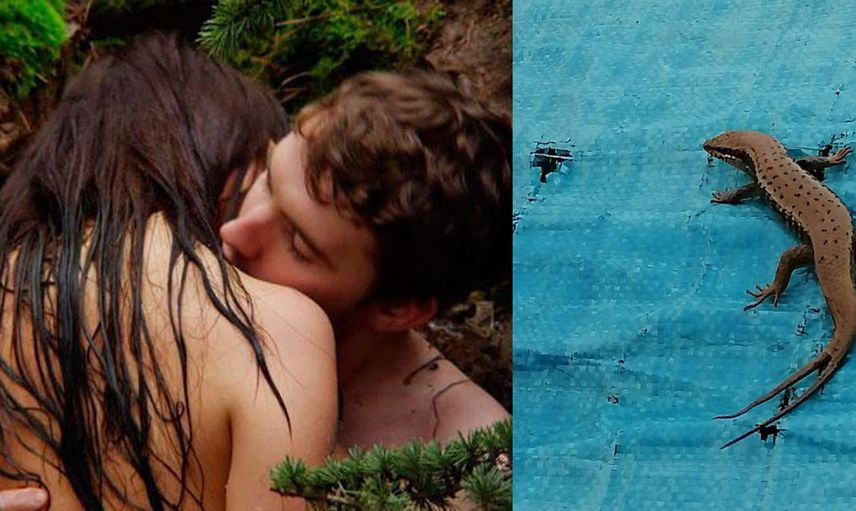 Ormanda sex yapmak istediler ama fantezilerinin sonu kötü bitti! Cinsel ilişki sırasında adamın penisine kertenkele girdi