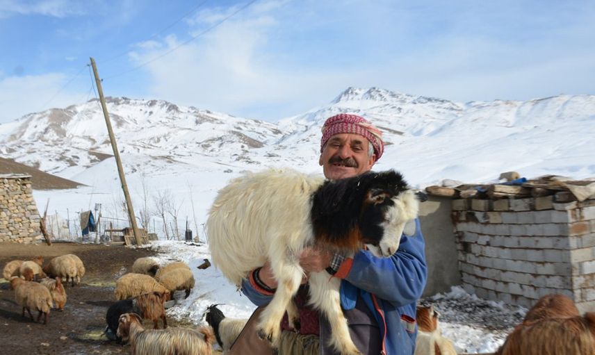 4 Yıldır Şehirden Uzak Yaylada Hayatını Sürdürüyor