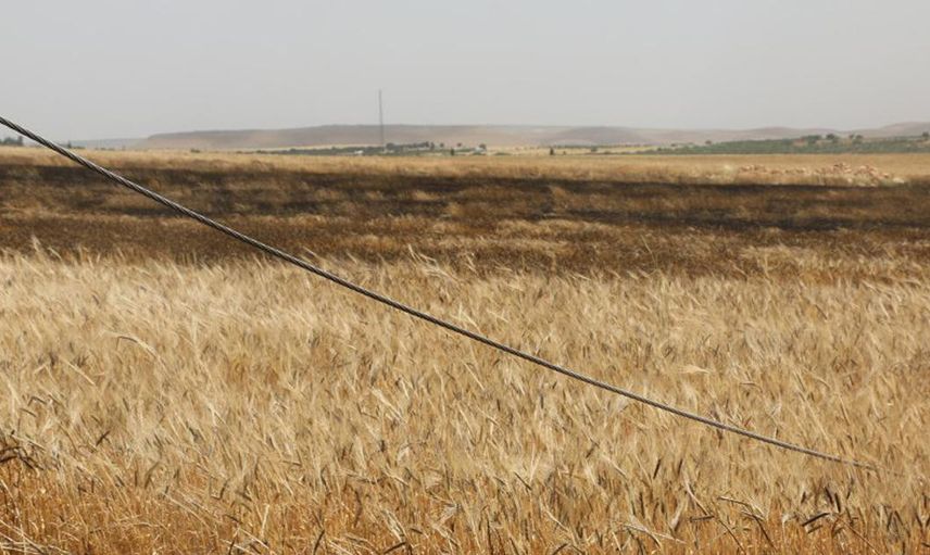 Şanlıurfa'da 8 Yaşında Tarlada Vurulan Çocukla İlgili Gerçek Ortaya Çıktı