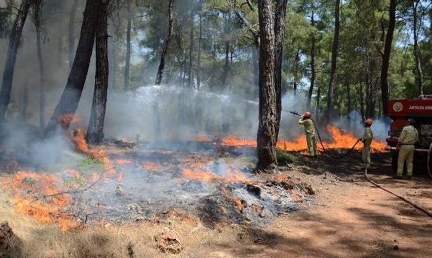 Antalya'da Meydana Gelen Orman Yangınlarında 80 Dekarlık Alan Küle Döndü