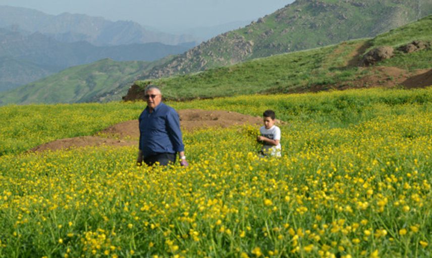 Kato Dağı Terörden Temizlendikten Sonra Görenleri Kendine Hayran Bıraktı