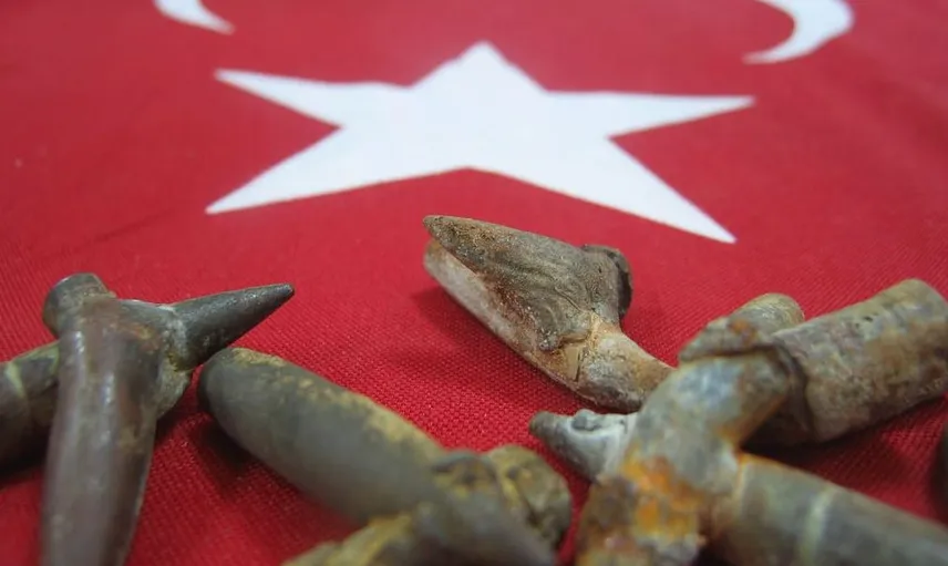 Çanakkale Savaşı nedir?