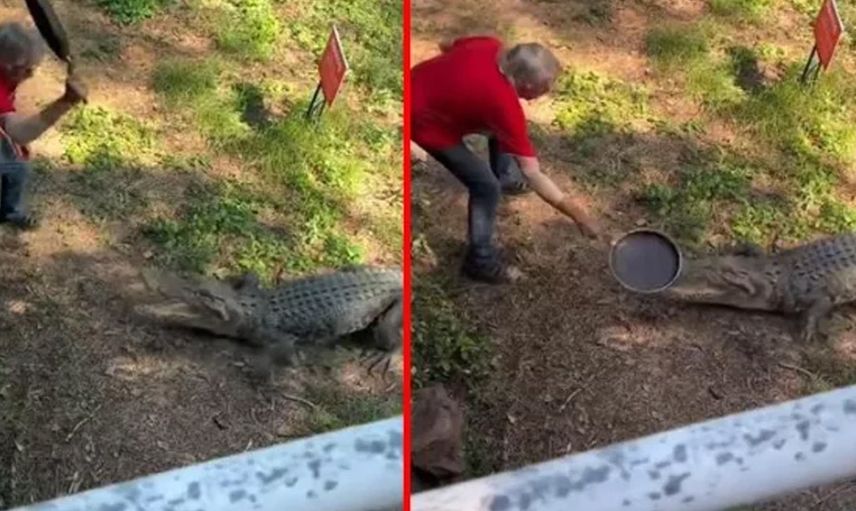 Elindeki tavayla timsaha koştu