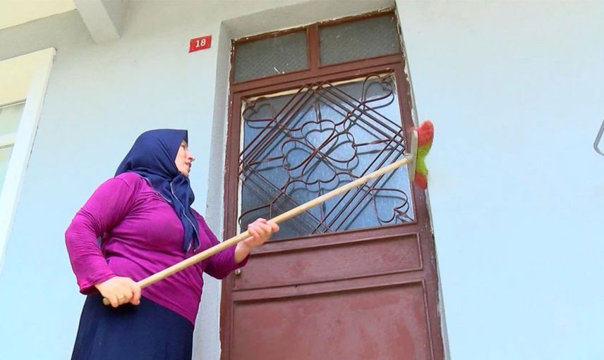 İstanbul’da Tırtıl İstilası Yaşanıyor, Tırtıllar Meyve Ağaçlarını Kuruttu