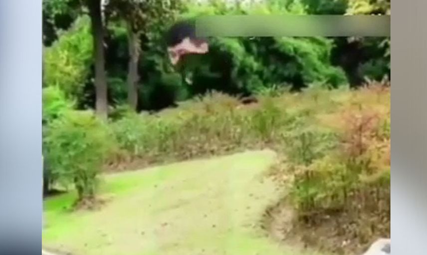 Görünmezlik gerçek oldu! Sosyal medya bu adamı konuşuyor Harry Potter'ın görünmezlik pelerini gerçek hayatta göründü