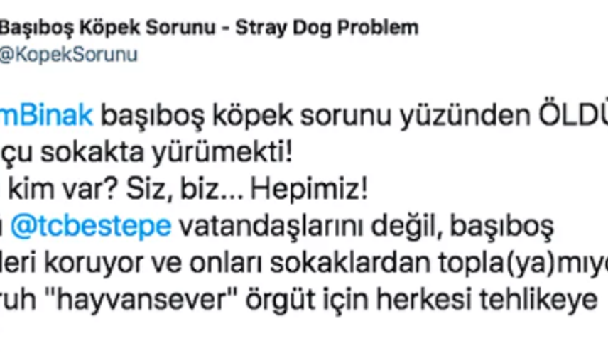 Köpekten Kaçarken Kamyon Çarpıp Hayatını Kaybetti: Ardından Akıl Almaz Paylaşımlar Yapıldı!