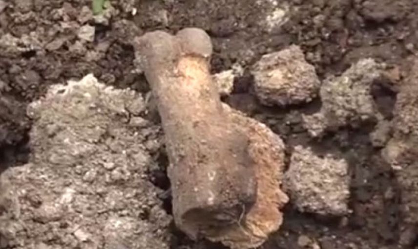 Toprağı eşeleyen çoban gördükleri karşısında şaşkınlığını gizleyemedi!