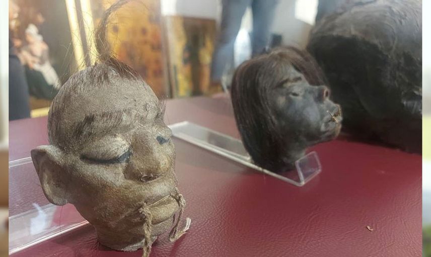 İzmir'de korkunç operasyon! Öldürüp kafalarını küçültüyorlar