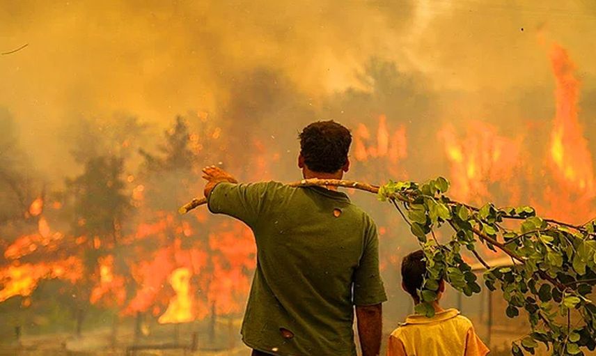 Orman Yangınlarında Canla Başla Çalışan Kahramanlar