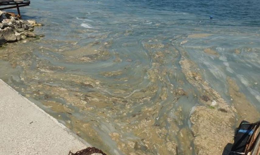 Marmara Denizi'nde Görülen Deniz Salyasının Sebebi Ne?