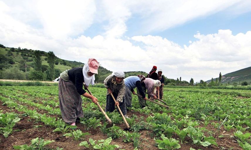 Son Dakika: Tarım ve Orman Bakanı Bekir Pakdemirli Çiftçiye Destek Müjdesini Açıkladı! Ödemeler Ne Zaman?