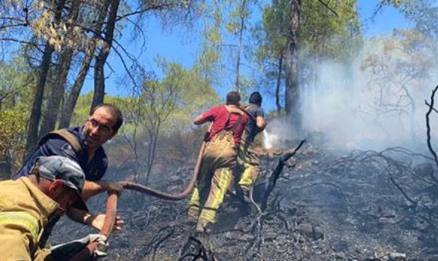 Orman Yangınlarında Canla Başla Çalışan Kahramanlar