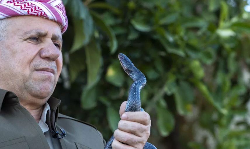 Yılanların türleri