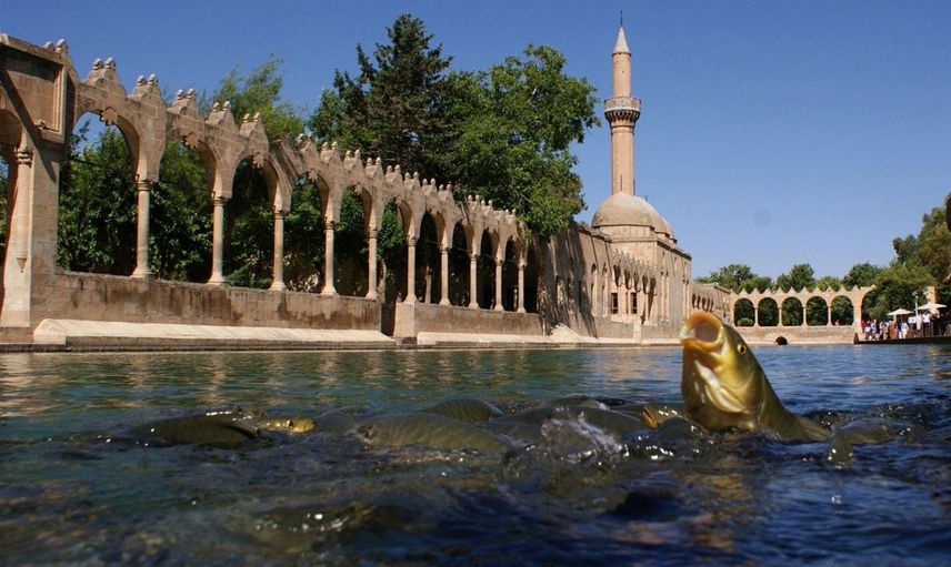 Hangi İllerde Akraba Evliliği Fazla?