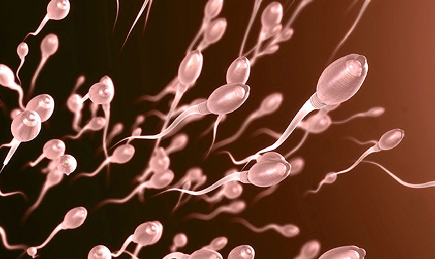 Nihat Hatipoğlu'na sorulan Sperm bankasından hamile kalmak günah mı? sorusuna ünlü ilahiyatçıdan şoke eden yanıt... Soruyu soran sorduğuna bin pişman...