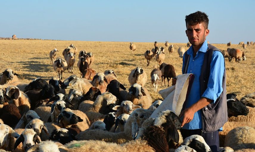 Zor Şartlar Altında Başarılı Olan Öğrenciler